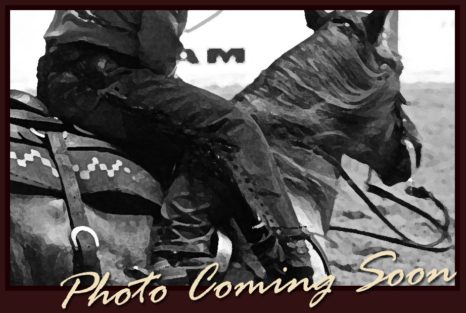 Image Coming Soon!
